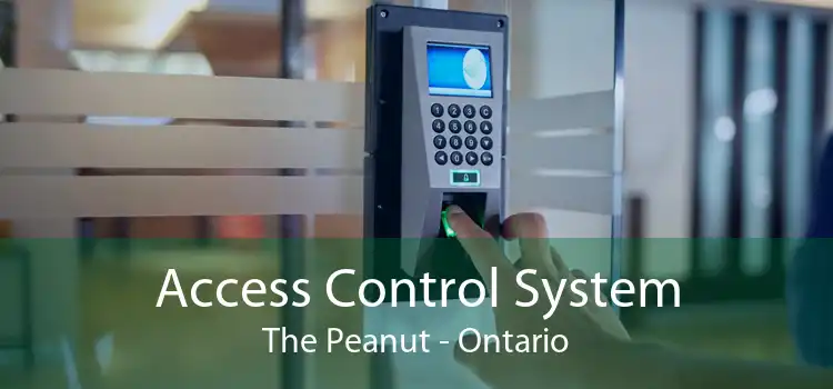 Access Control System The Peanut - Ontario