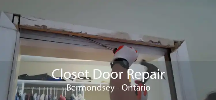 Closet Door Repair Bermondsey - Ontario