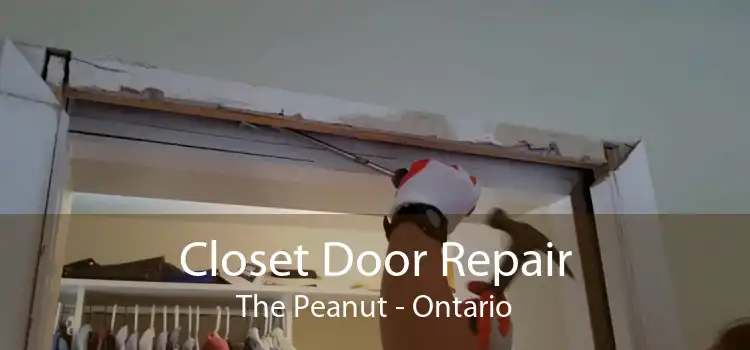 Closet Door Repair The Peanut - Ontario