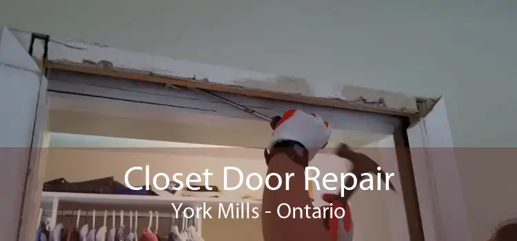 Closet Door Repair York Mills - Ontario