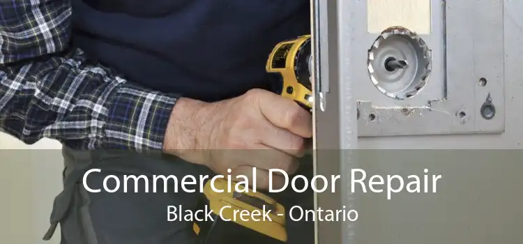 Commercial Door Repair Black Creek - Ontario