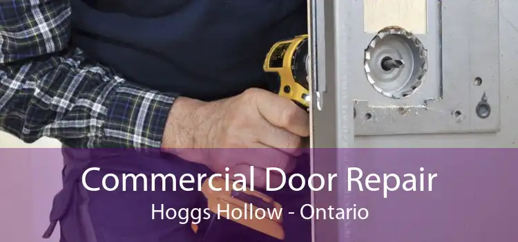 Commercial Door Repair Hoggs Hollow - Ontario
