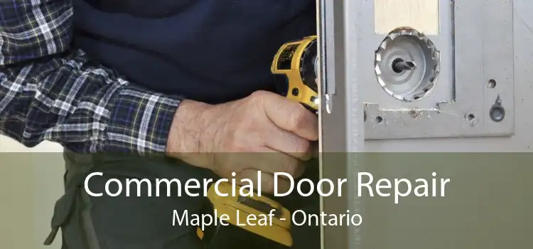 Commercial Door Repair Maple Leaf - Ontario