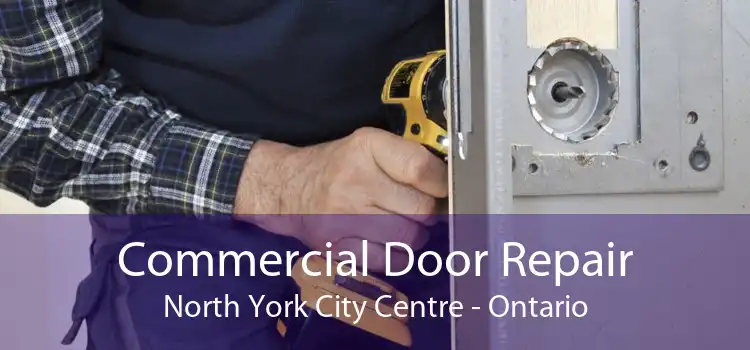 Commercial Door Repair North York City Centre - Ontario