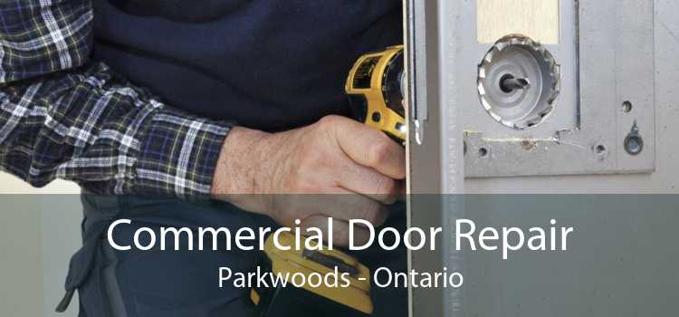 Commercial Door Repair Parkwoods - Ontario
