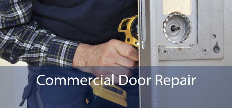 Commercial Door Repair 