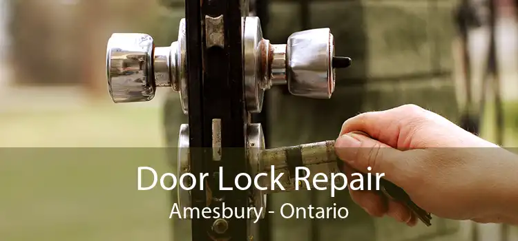 Door Lock Repair Amesbury - Ontario