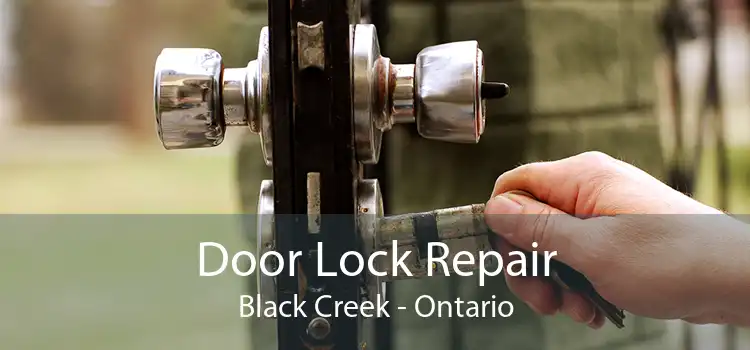 Door Lock Repair Black Creek - Ontario
