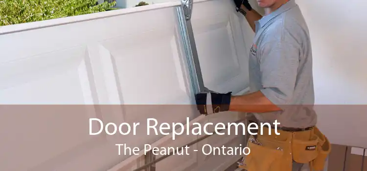 Door Replacement The Peanut - Ontario
