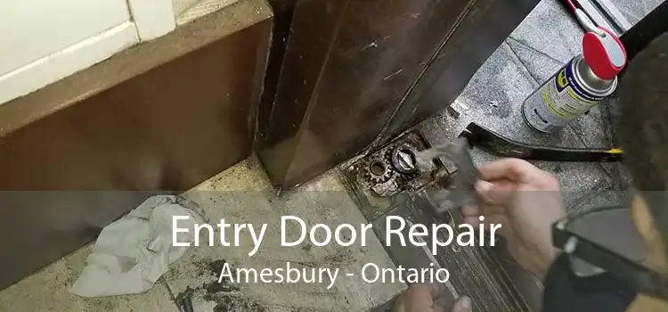 Entry Door Repair Amesbury - Ontario