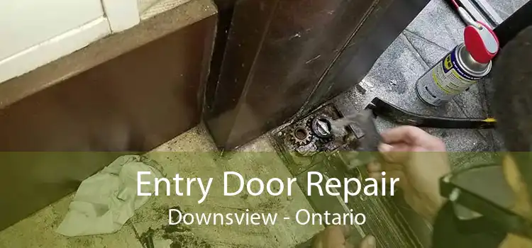Entry Door Repair Downsview - Ontario