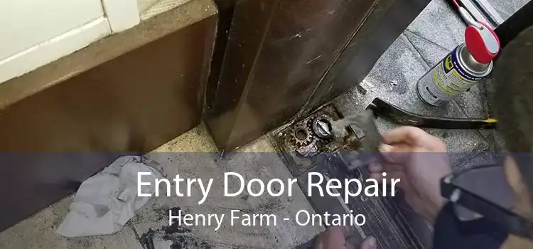 Entry Door Repair Henry Farm - Ontario