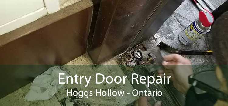 Entry Door Repair Hoggs Hollow - Ontario