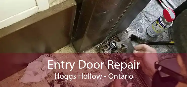 Entry Door Repair Hoggs Hollow - Ontario