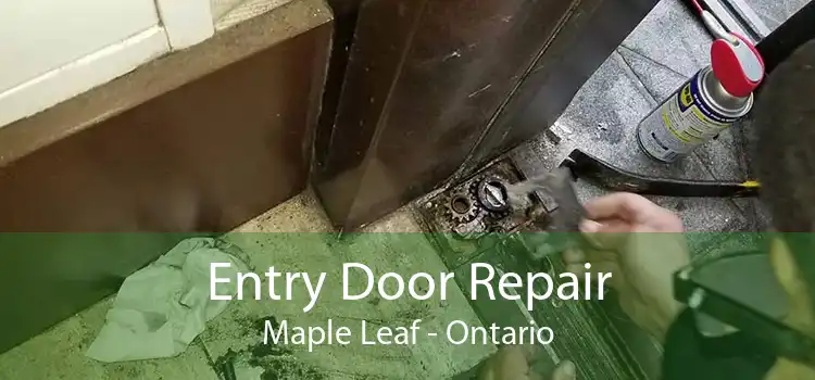 Entry Door Repair Maple Leaf - Ontario