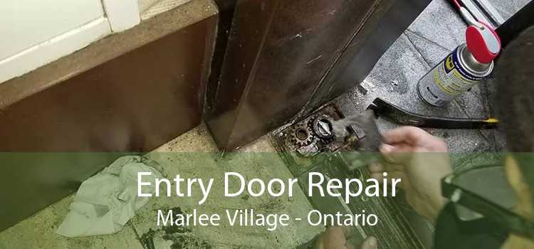 Entry Door Repair Marlee Village - Ontario