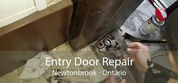 Entry Door Repair Newtonbrook - Ontario