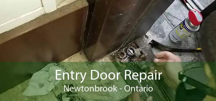 Entry Door Repair Newtonbrook - Ontario