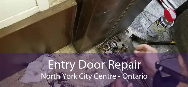 Entry Door Repair North York City Centre - Ontario