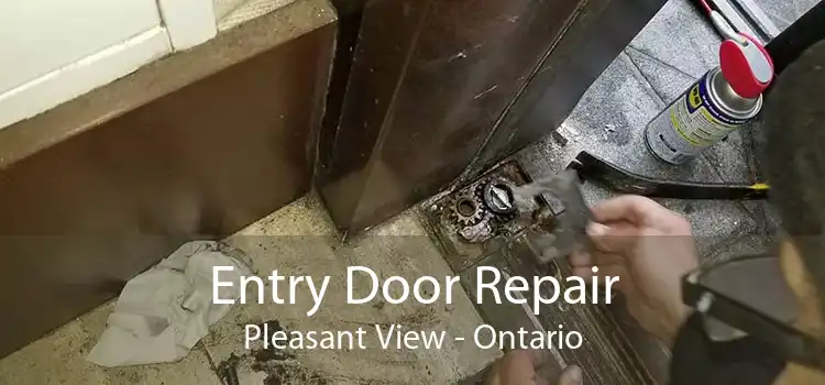 Entry Door Repair Pleasant View - Ontario