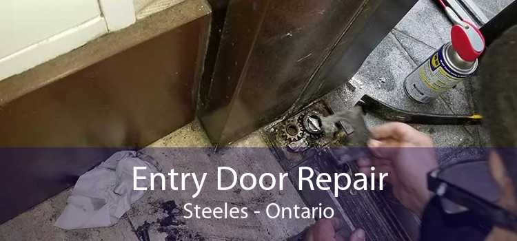 Entry Door Repair Steeles - Ontario