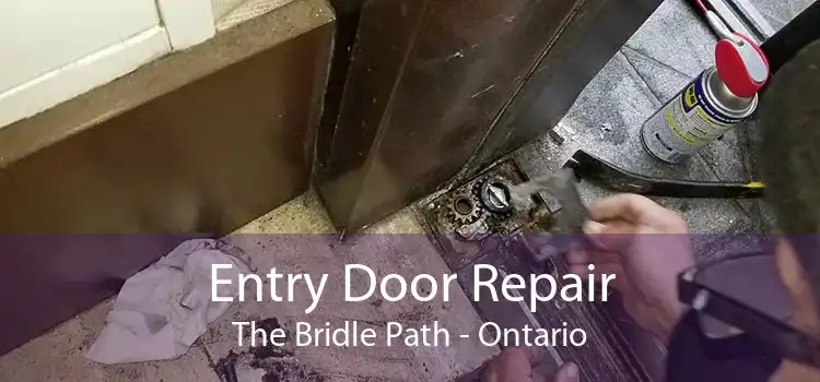 Entry Door Repair The Bridle Path - Ontario
