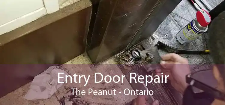 Entry Door Repair The Peanut - Ontario