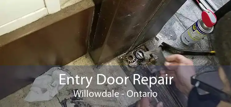 Entry Door Repair Willowdale - Ontario