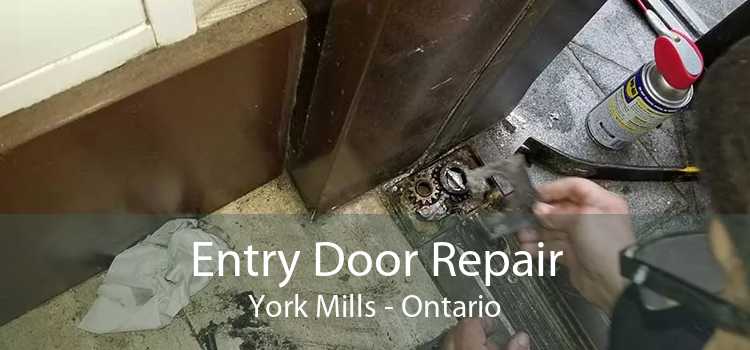 Entry Door Repair York Mills - Ontario