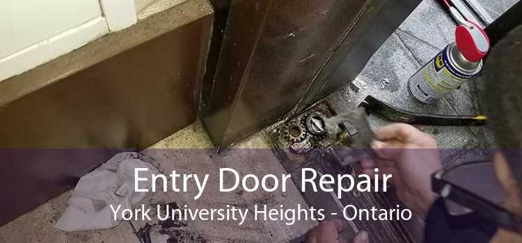 Entry Door Repair York University Heights - Ontario