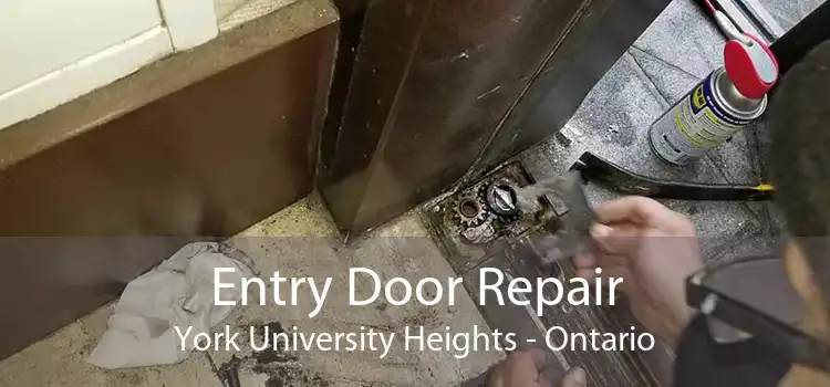 Entry Door Repair York University Heights - Ontario