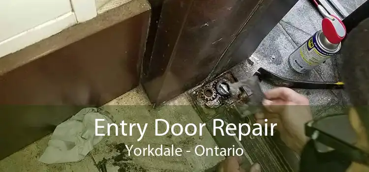 Entry Door Repair Yorkdale - Ontario