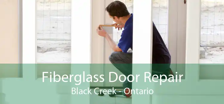 Fiberglass Door Repair Black Creek - Ontario