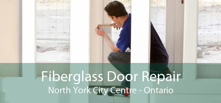 Fiberglass Door Repair North York City Centre - Ontario