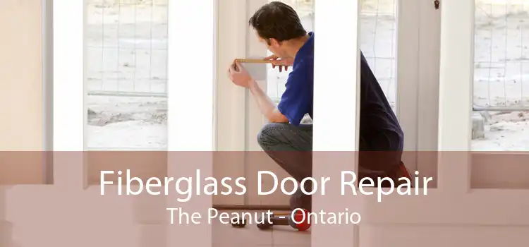 Fiberglass Door Repair The Peanut - Ontario