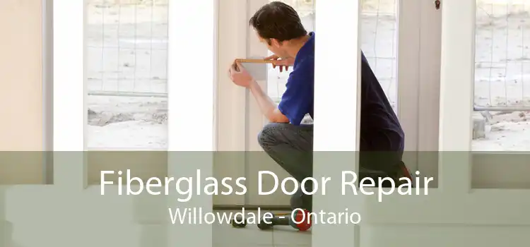 Fiberglass Door Repair Willowdale - Ontario