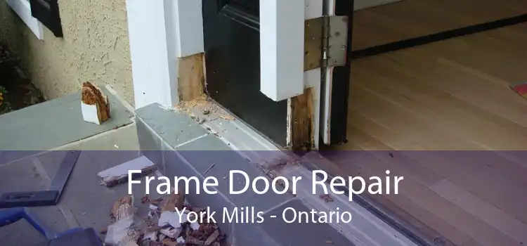 Frame Door Repair York Mills - Ontario