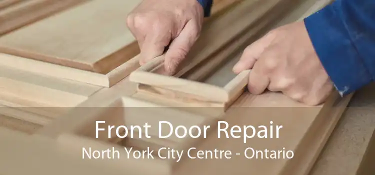 Front Door Repair North York City Centre - Ontario