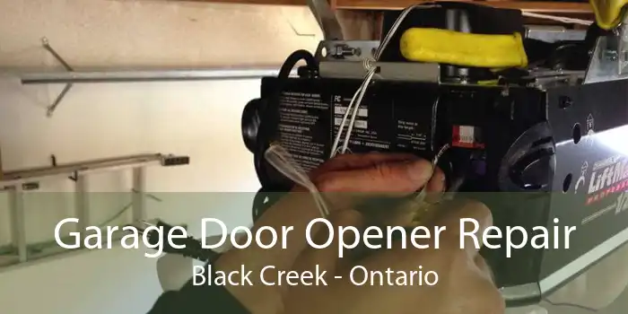 Garage Door Opener Repair Black Creek - Ontario