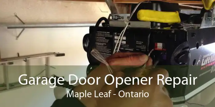 Garage Door Opener Repair Maple Leaf - Ontario