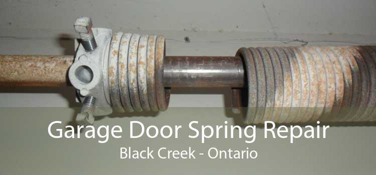 Garage Door Spring Repair Black Creek - Ontario