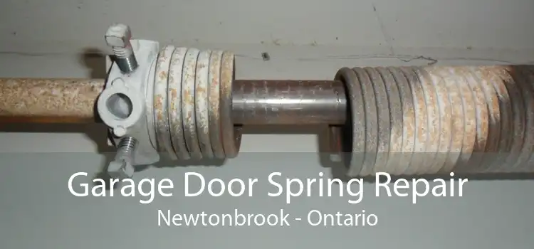 Garage Door Spring Repair Newtonbrook - Ontario