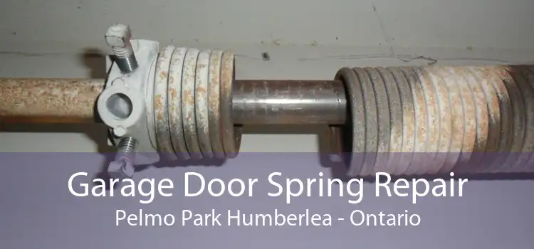 Garage Door Spring Repair Pelmo Park Humberlea - Ontario