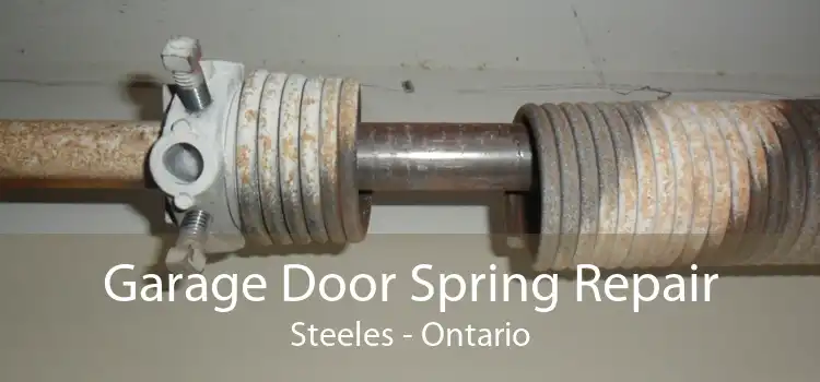 Garage Door Spring Repair Steeles - Ontario