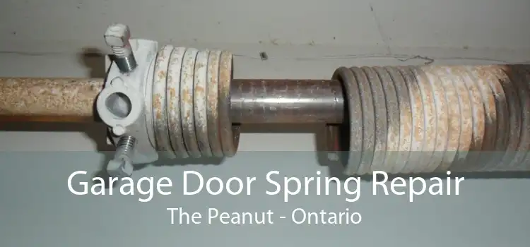Garage Door Spring Repair The Peanut - Ontario