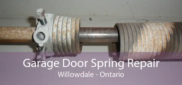 Garage Door Spring Repair Willowdale - Ontario