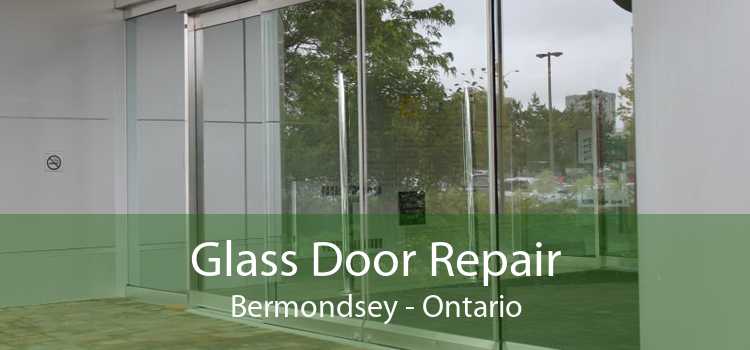 Glass Door Repair Bermondsey - Ontario