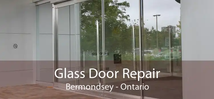 Glass Door Repair Bermondsey - Ontario