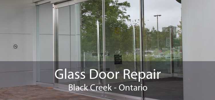 Glass Door Repair Black Creek - Ontario