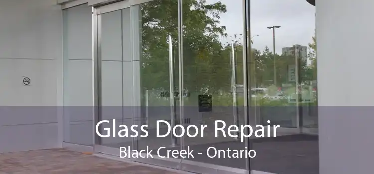 Glass Door Repair Black Creek - Ontario